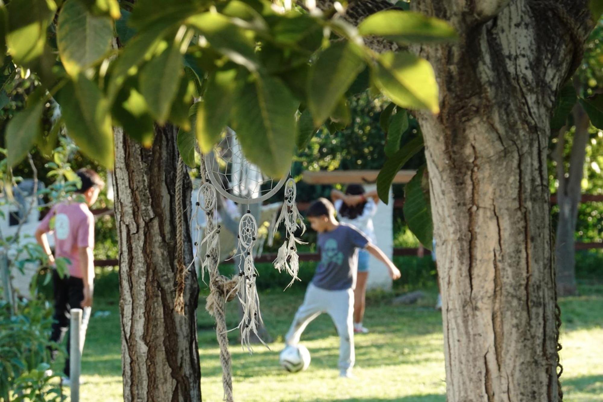 Hotel Taray Botanico Orgiva Dış mekan fotoğraf