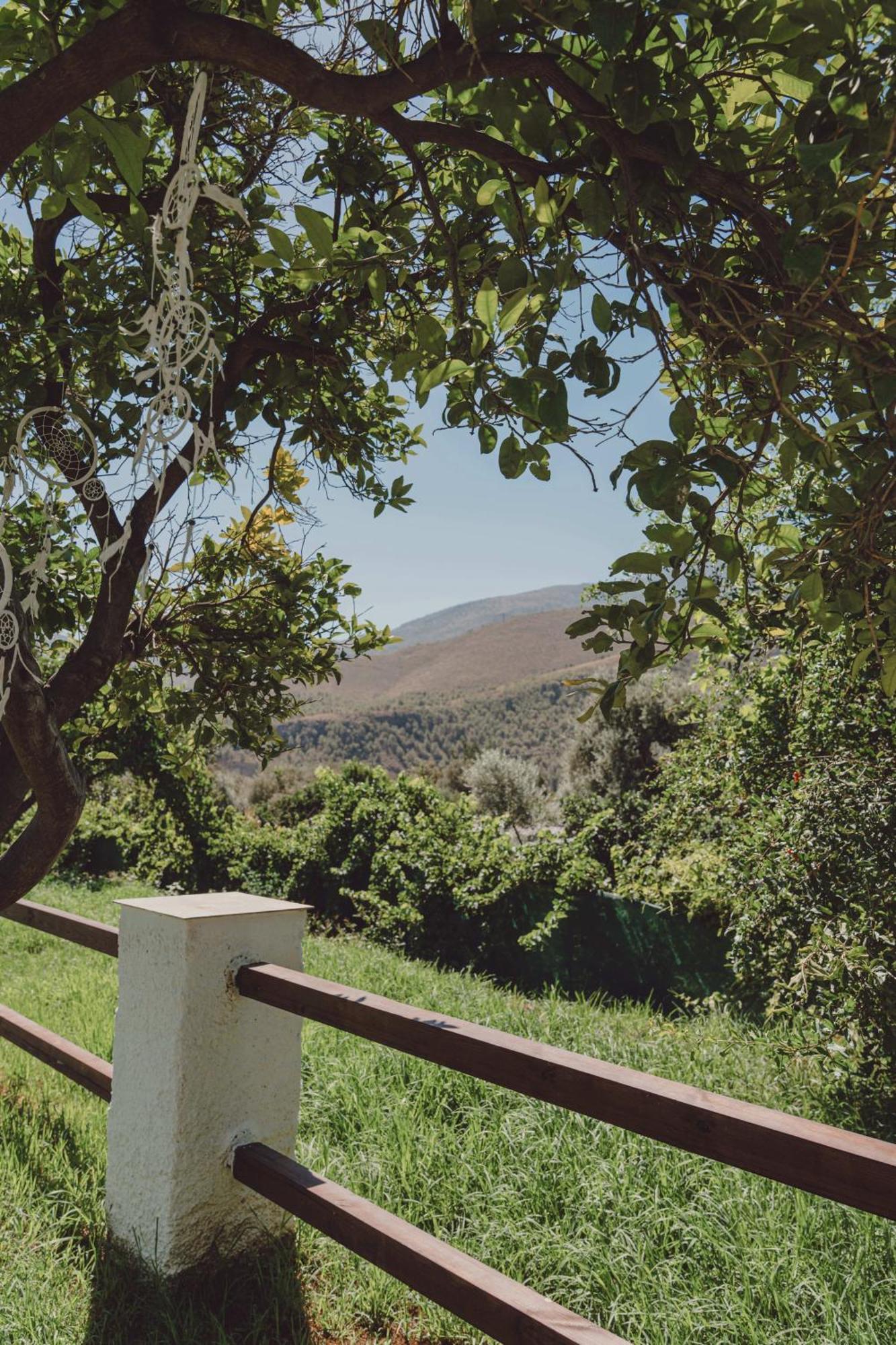 Hotel Taray Botanico Orgiva Dış mekan fotoğraf