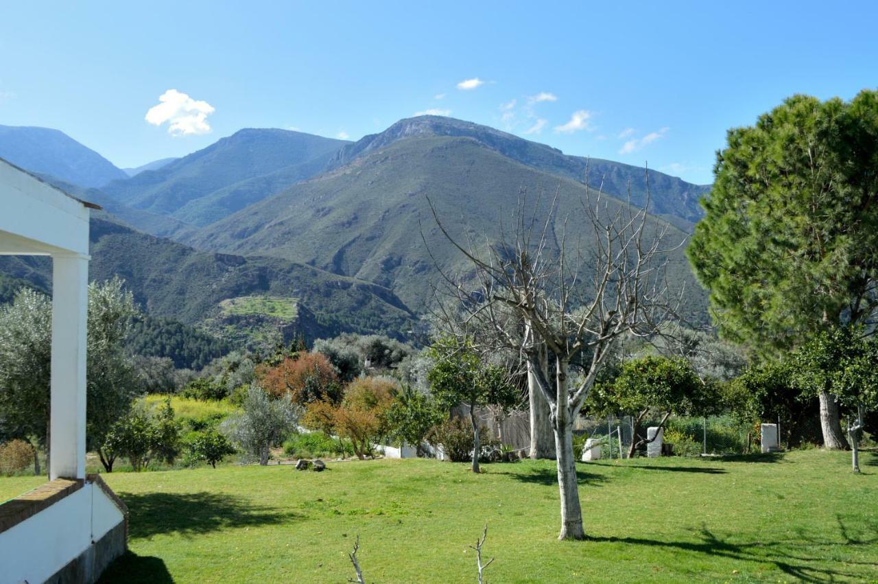 Hotel Taray Botanico Orgiva Dış mekan fotoğraf