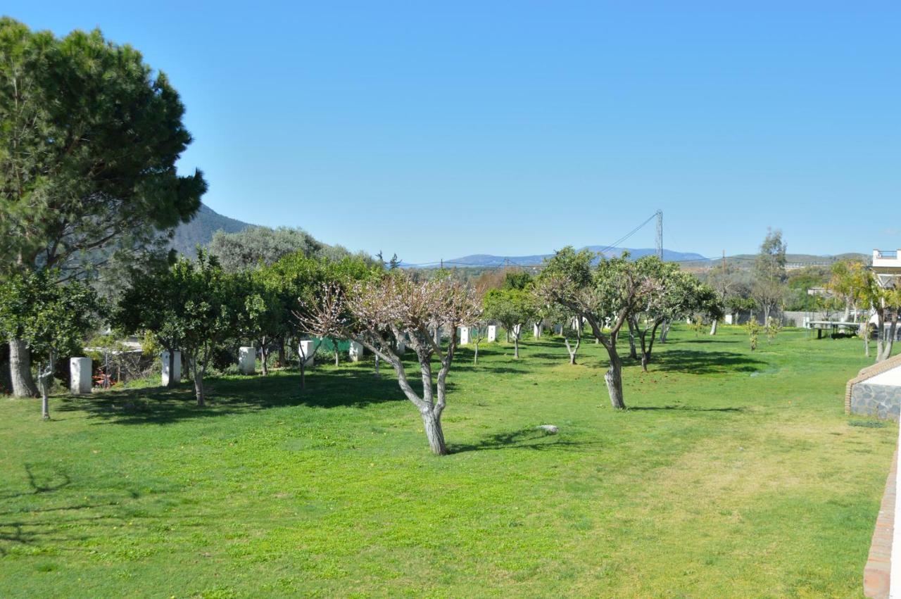 Hotel Taray Botanico Orgiva Dış mekan fotoğraf